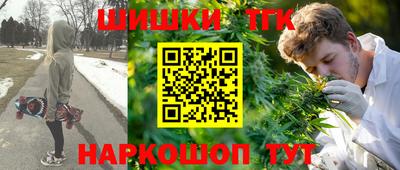 индика Пугачёв